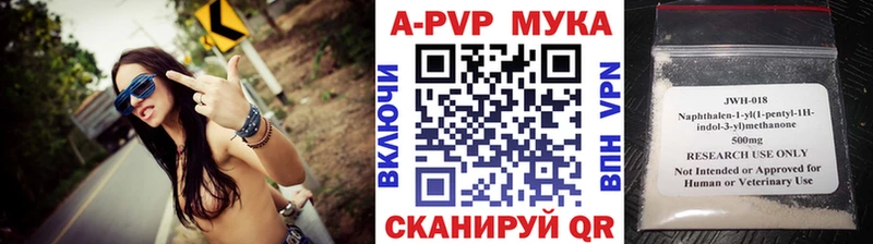 мега рабочий сайт  Пыть-Ях  Альфа ПВП СК КРИС 