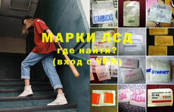 индика Армянск