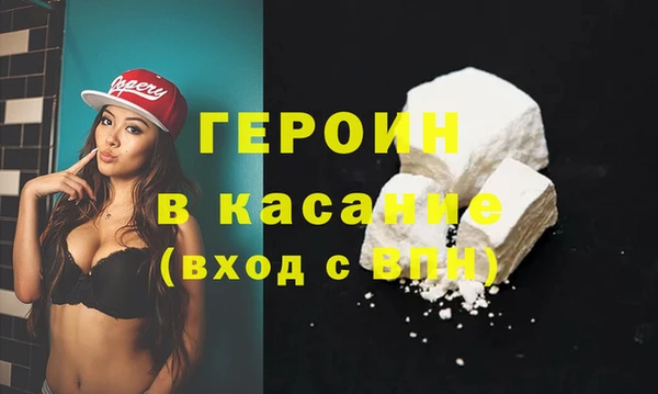 индика Арсеньев