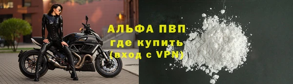 индика Арсеньев