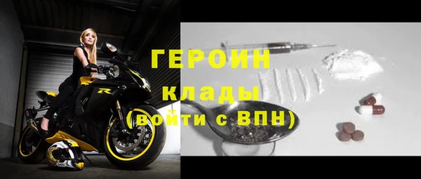 индика Арсеньев