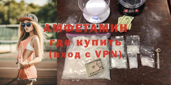 индика Арсеньев