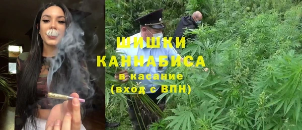 ГАЛЛЮЦИНОГЕННЫЕ ГРИБЫ Алзамай
