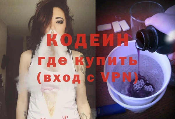 индика Армянск