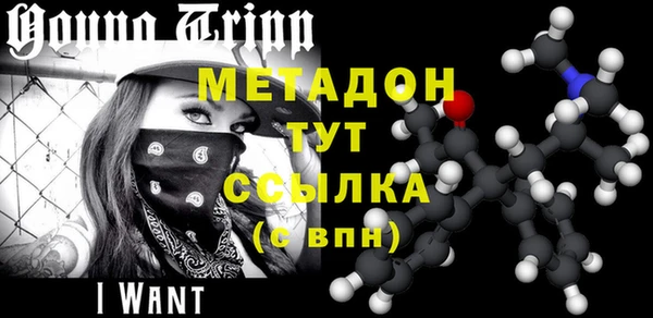 индика Арсеньев