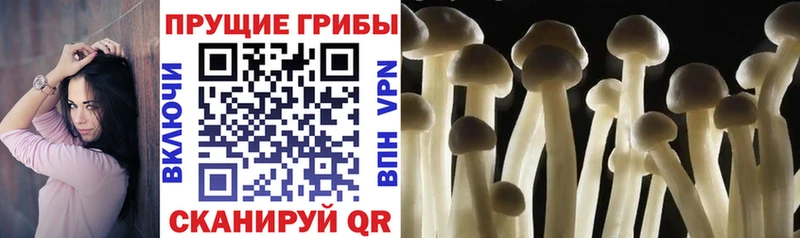 hydra ССЫЛКА Пыть-Ях Галлюциногенные грибы мухоморы